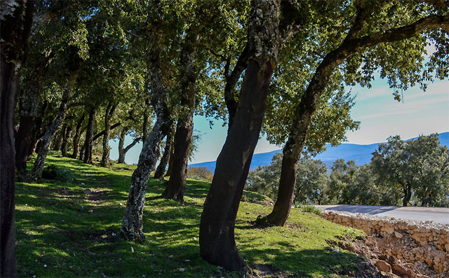 randonnée Tunisie