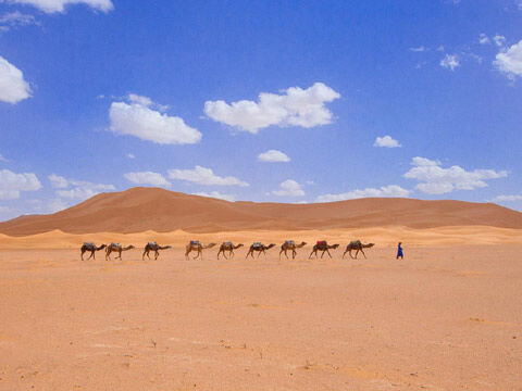 Randonnée dans le Dahar avec Tunisie Autrement.