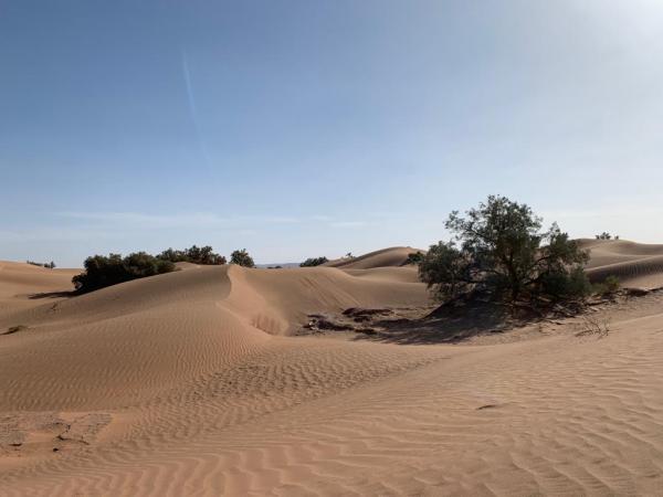 Randonnée dans le Dahar avec Tunisie Autrement.