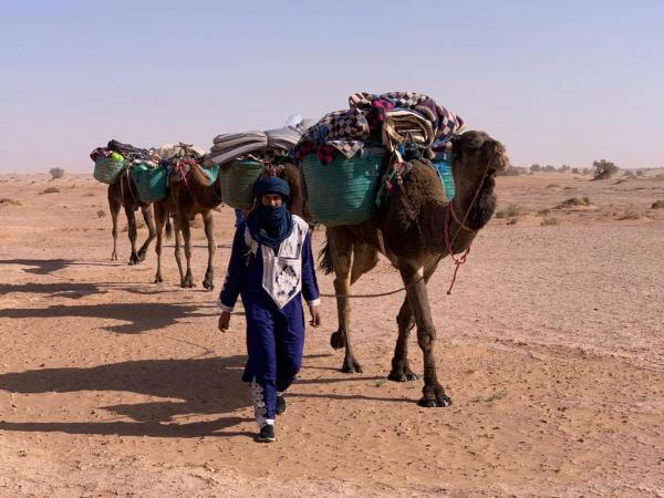 Randonnée dans le Dahar avec Tunisie Autrement.