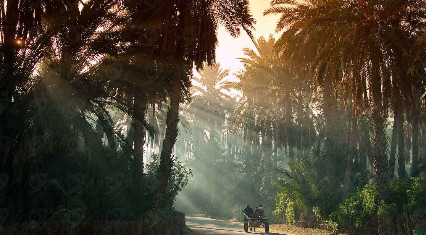 Les Merveilles du Sud Tunisien