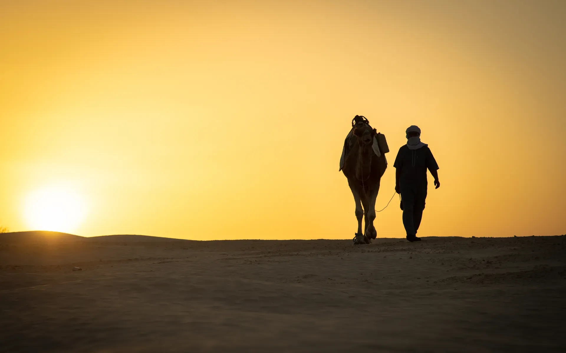 Les Merveilles du Sud Tunisien