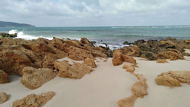 plages Tunisie