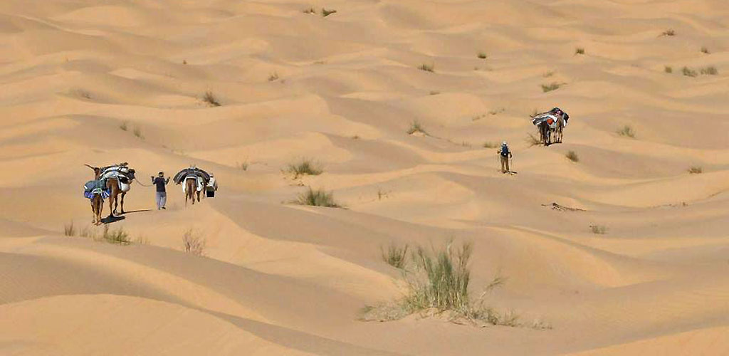 Trek dans le désert tunisien