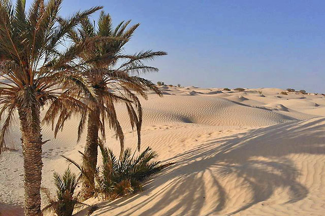 randonnée désert tunisien
